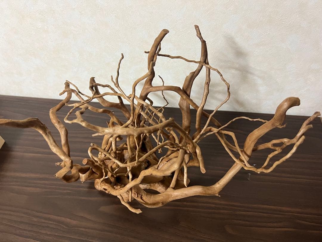 30211 ブランチウッド　流木　アクアリウム　沈水確認済