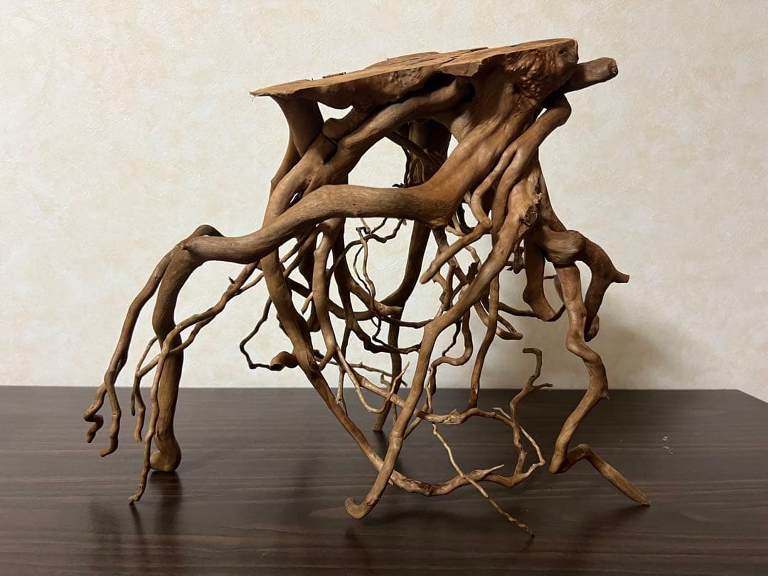 30211 ブランチウッド　流木　アクアリウム　沈水確認済