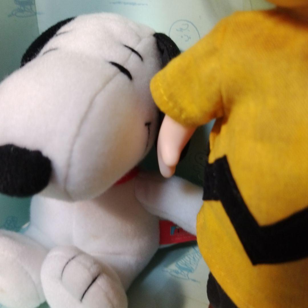 2001 マダムアレクサンダー PEANUTS Charlie Brown箱難