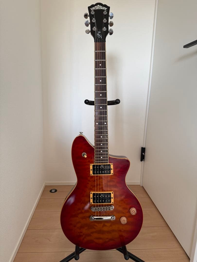 Washburn P2 ワッシュバーン PⅡ ヌーノ nuno