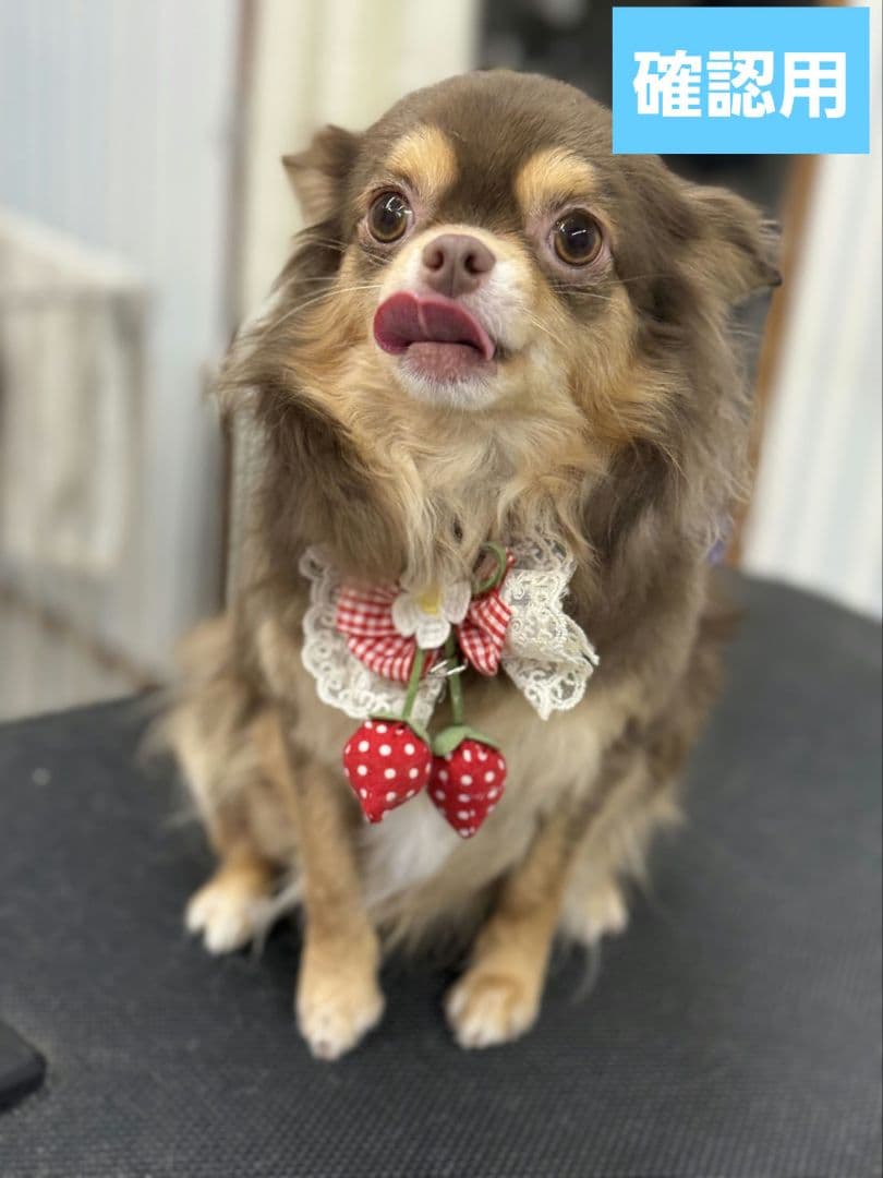 hwara様 ♡ Xmas girls 24´ 10枚 匿名発送