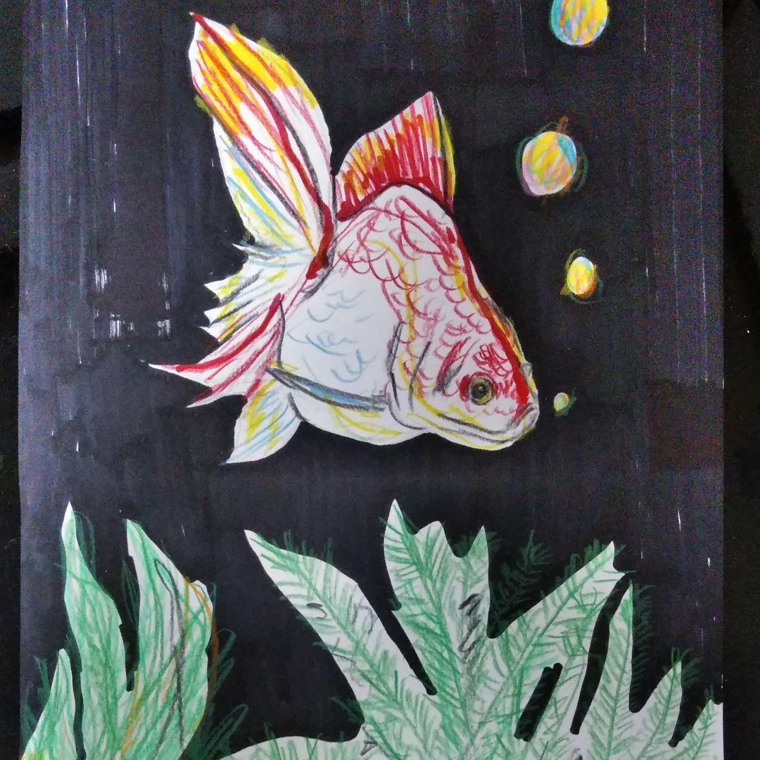 金魚　イラスト　絵画