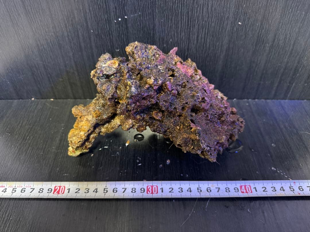 ナカジ 天然ライブロック 6.4kg (7個)