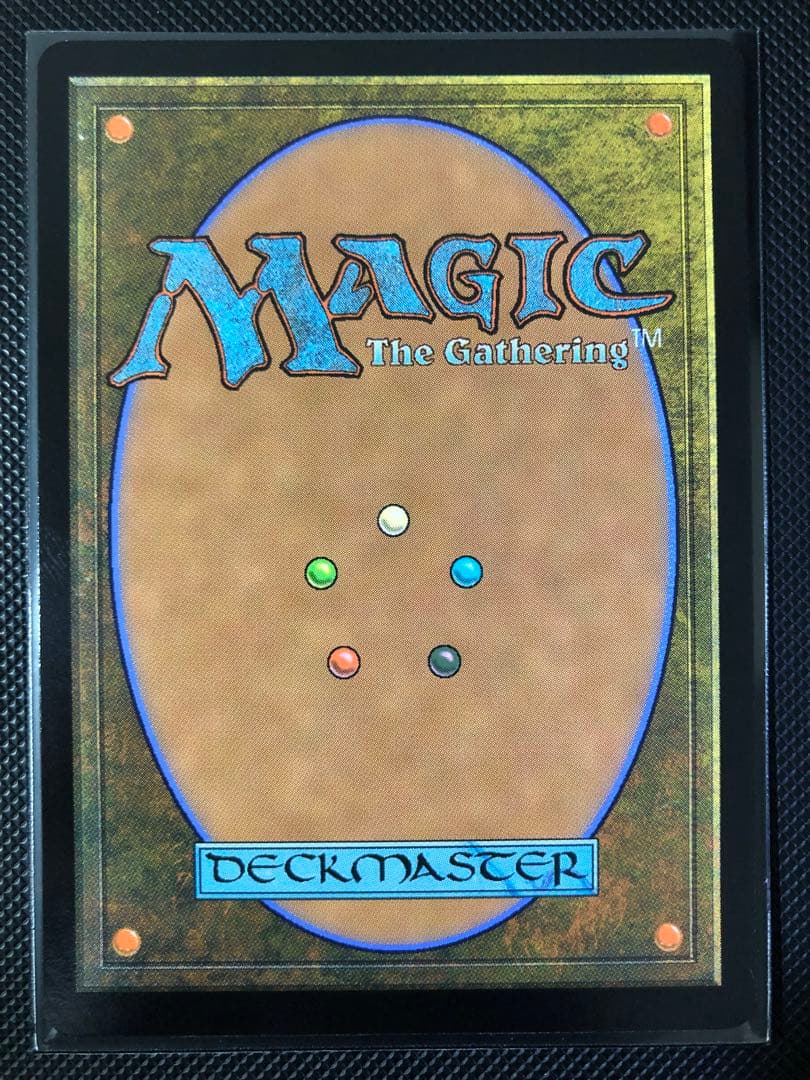 MTG 湿った墓 ボーダーレス foil