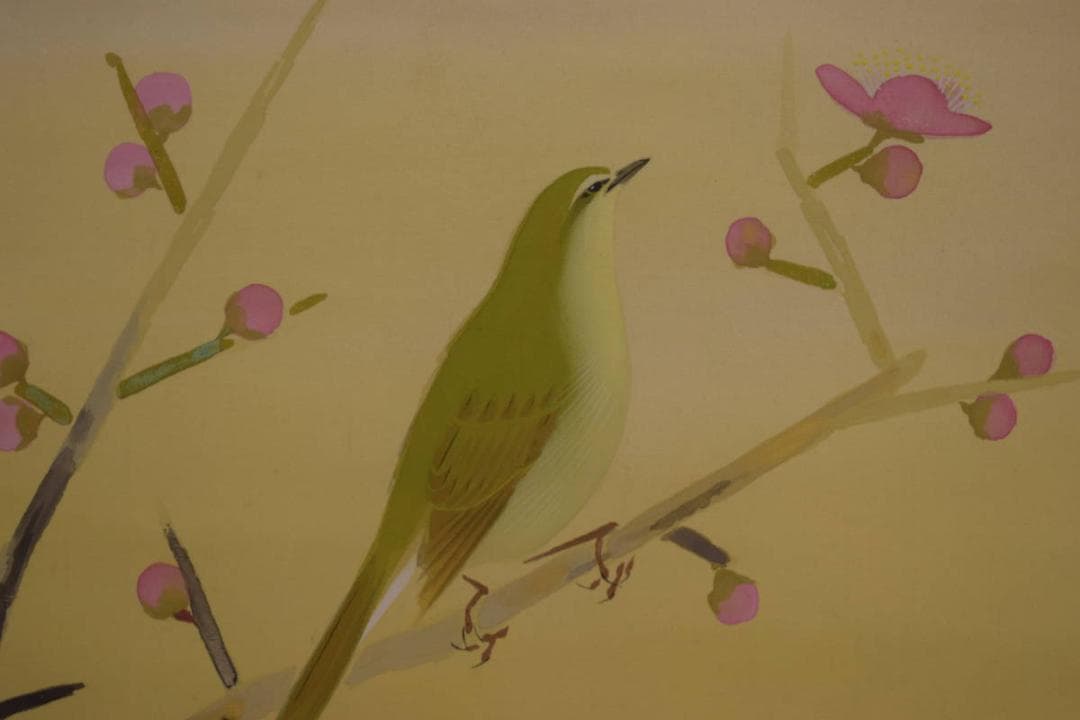 真作/五十棲子元/紅梅鴬図/桐共箱付/布袋屋掛軸HI-707