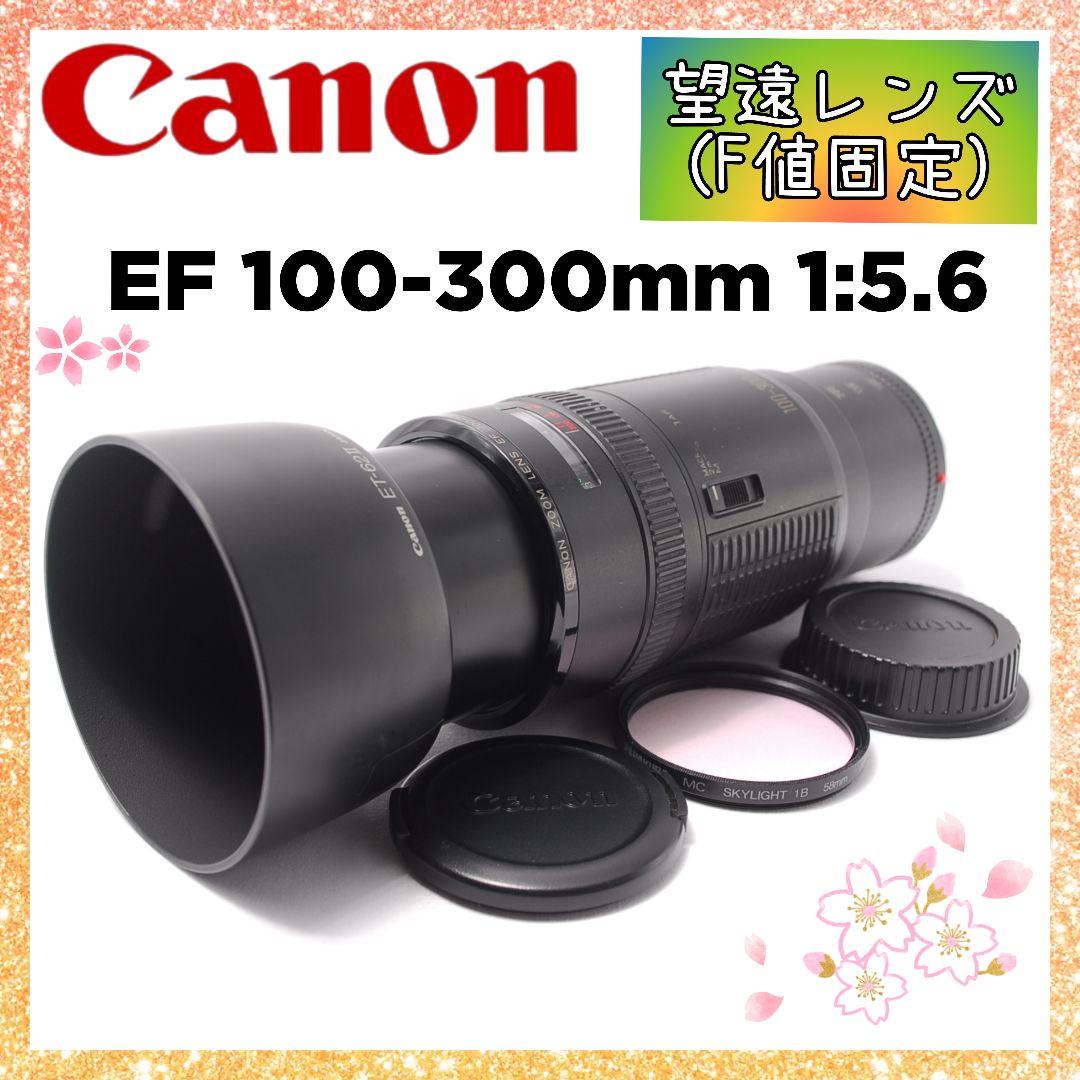 ❤即購入1000円OFF❤ キャノン Canon 100-300mm 望遠レンズ