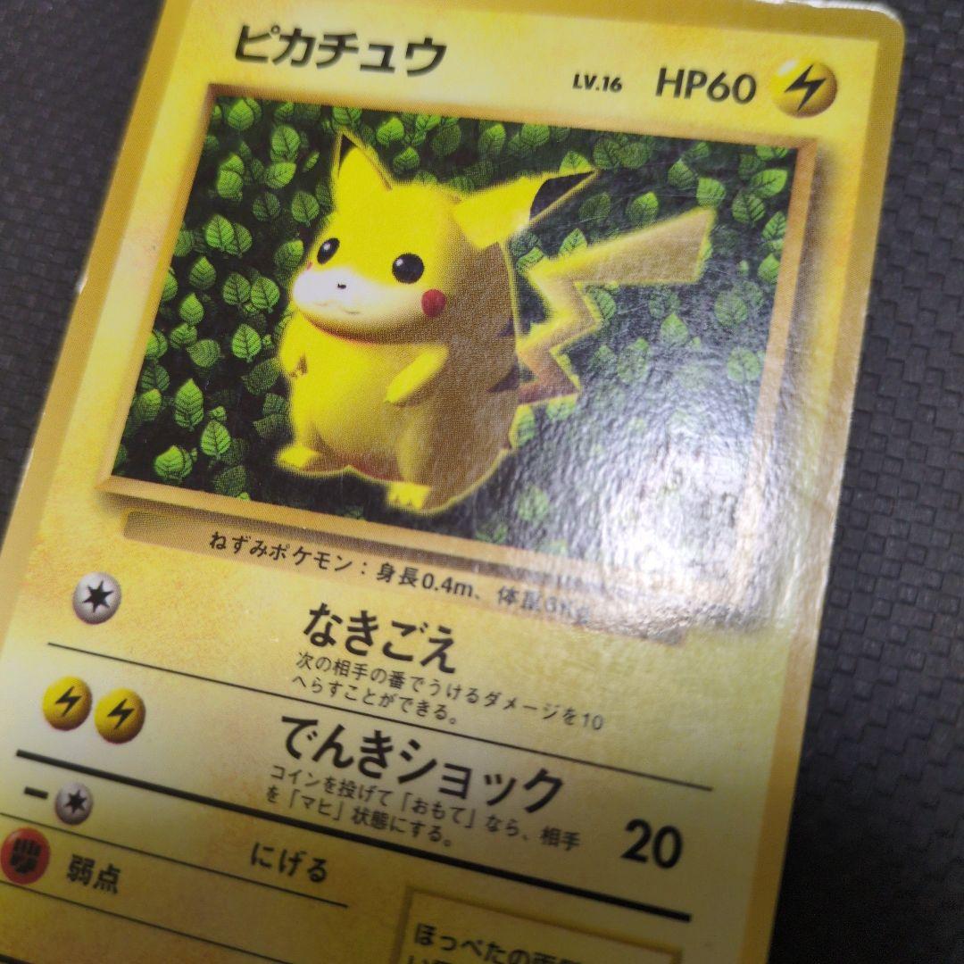 旧裏　　ピカチュウ　誤表記　ken sugimori　ポケモンカード