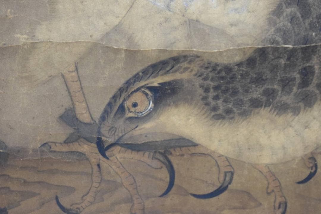 雪舟/鷹之図/タカ図/古画/掛軸☆宝船☆Z-601