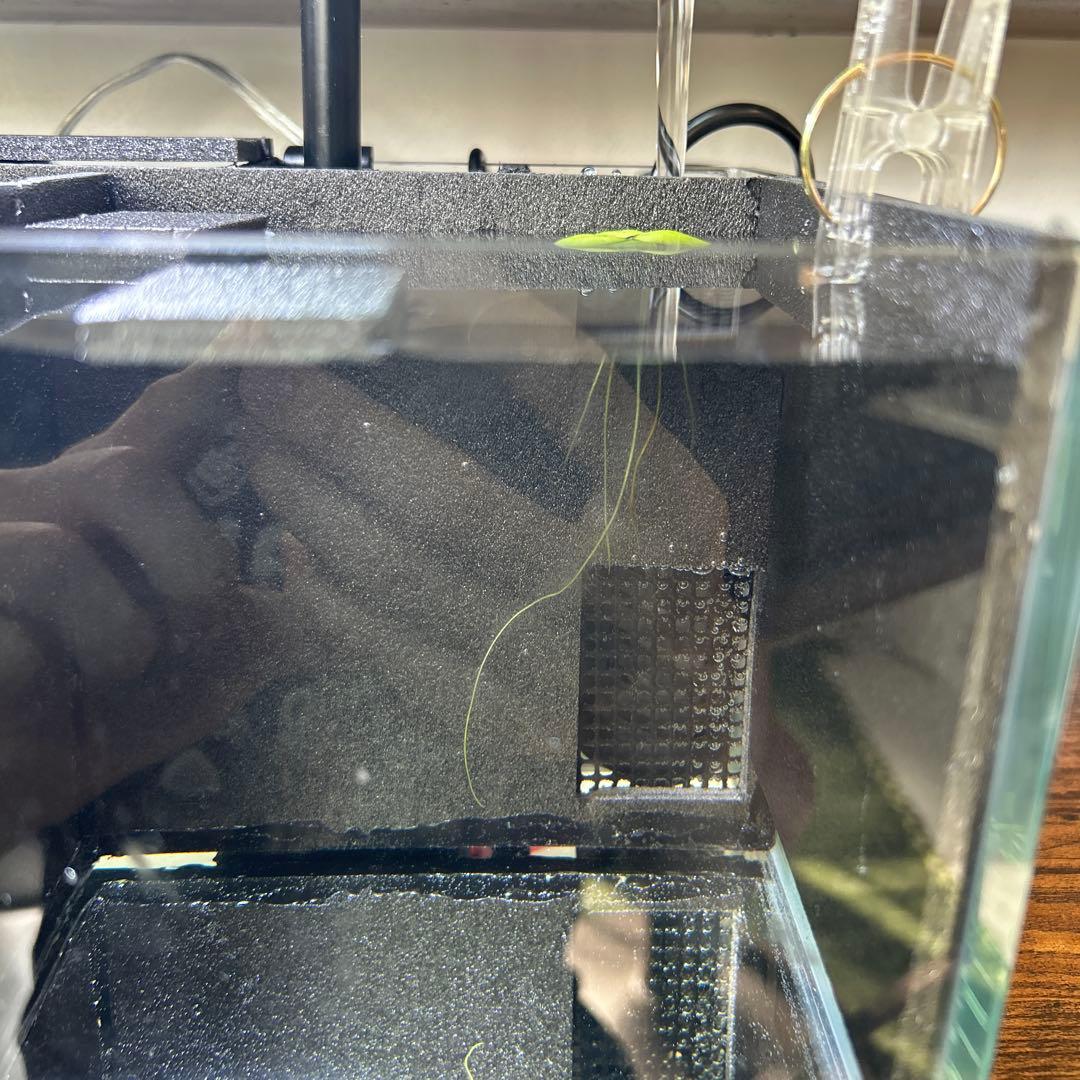 【セット品&改良型】ベタマンション 自作 DIY ベタ 水槽　使用済み