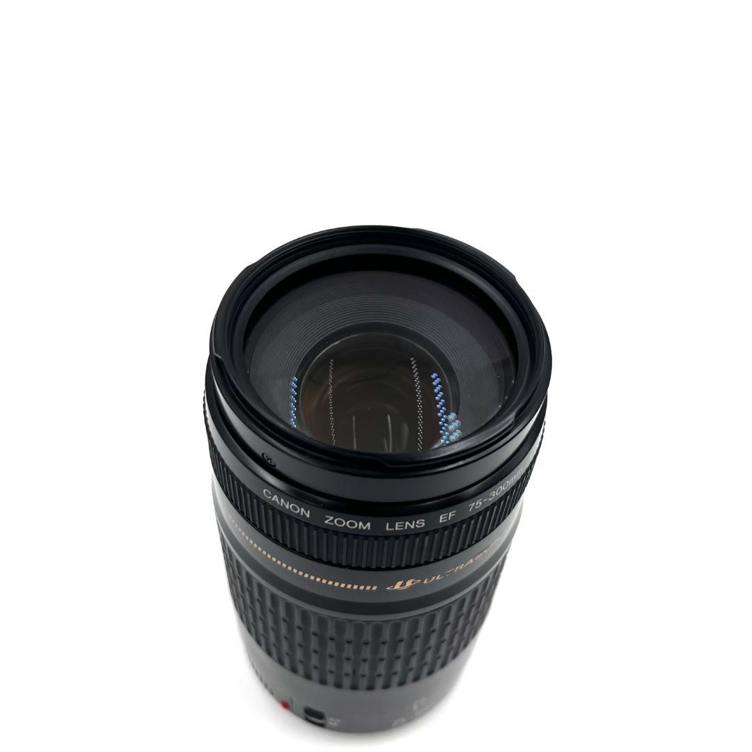 望遠レンズ Canon EF 75-300mm F4-5.6 USM #222