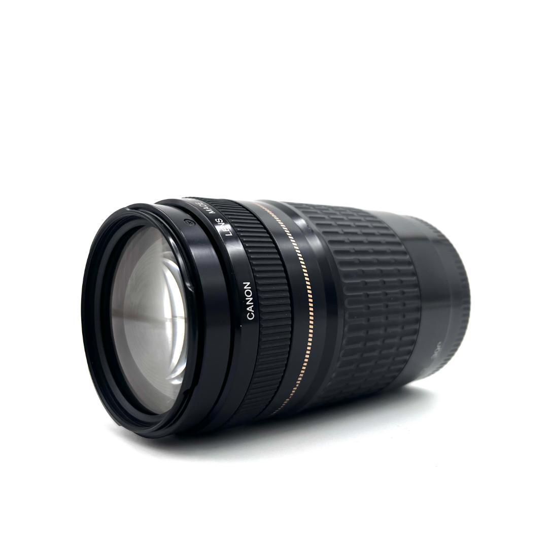 望遠レンズ Canon EF 75-300mm F4-5.6 USM #222