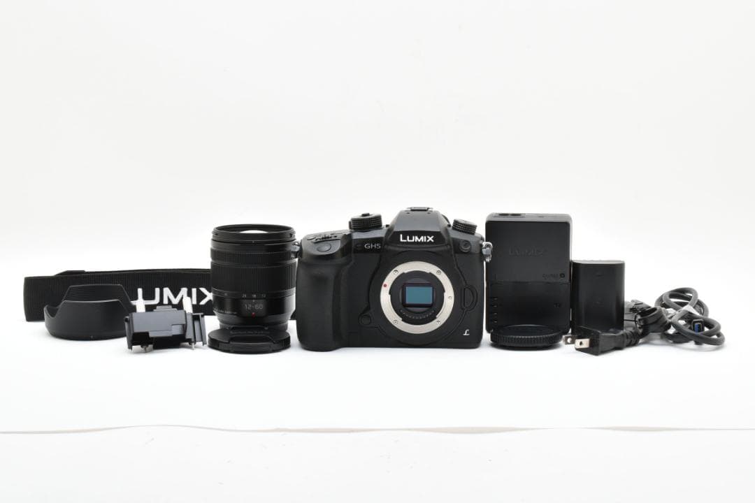 ■ショット数3451回■LUMIX DC-GH5 標準ズームレンズキット