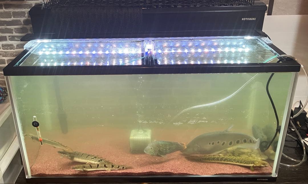 コトブキ工芸　水槽　90cm×45cm45cm 上部濾過装置　照明付き