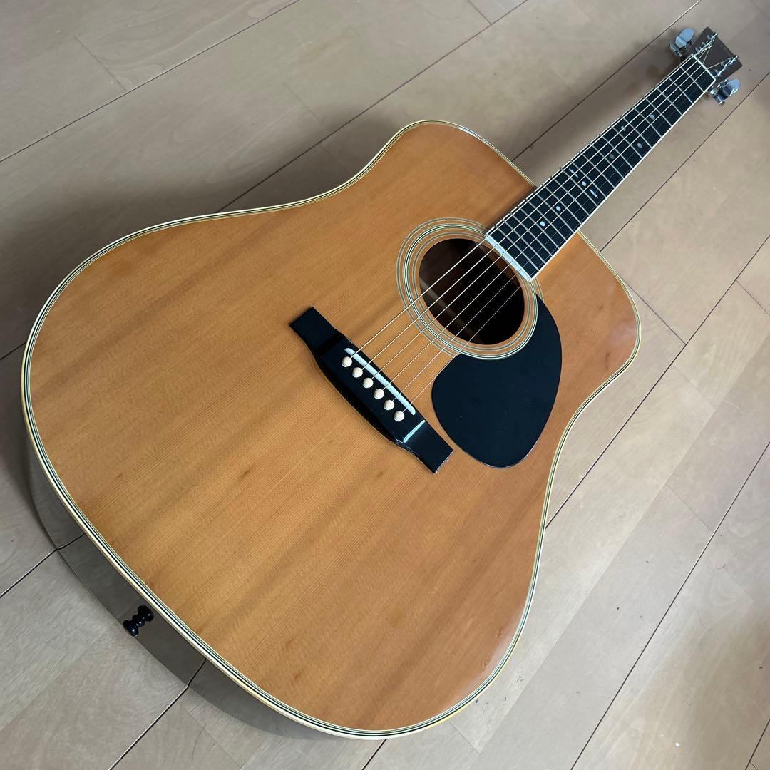 ぴょんたんCat's Eyas CE-200 東海楽器工房