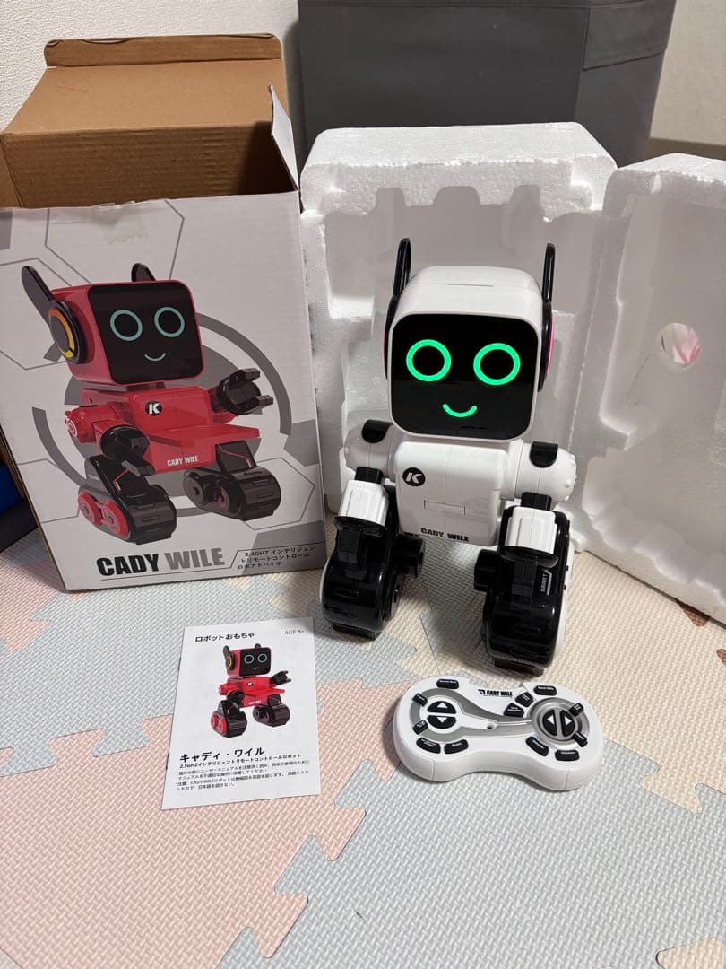 Cady Wile ロボットおもちゃ