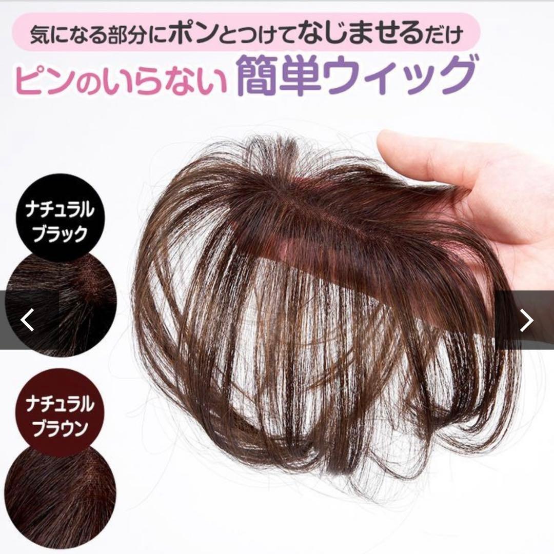NAO-ART ピンのいらない簡単ウィッグ ナチュラルブラウン ポシュレ