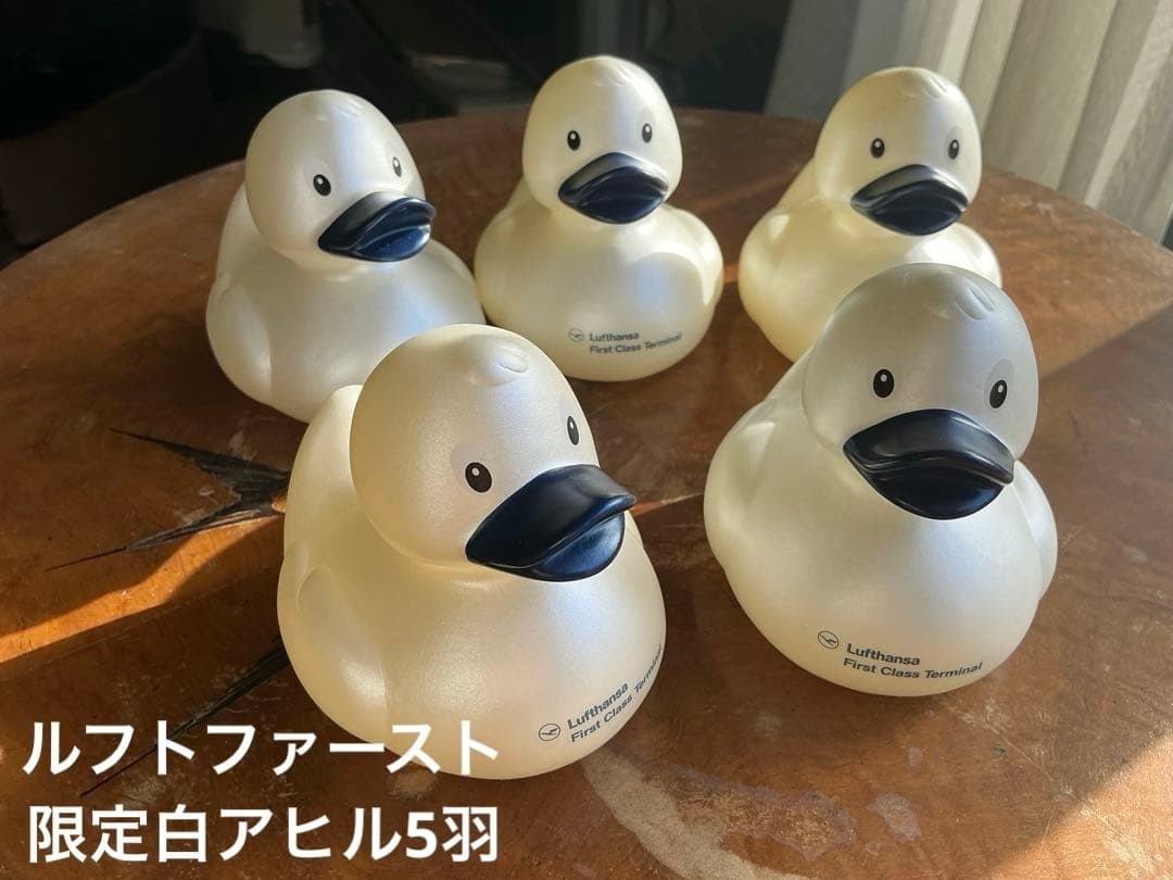 ルフトハンザファーストクラスターミナル、白ダック5羽2025年冬　嘴は紺