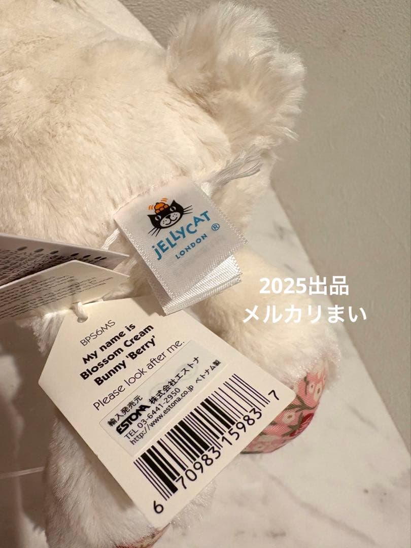  Blossom Cream Bunny 'Berry' （S）