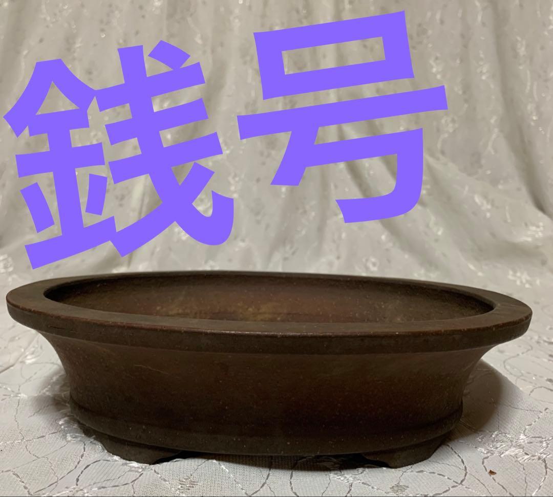 銭号　楕円　盆栽鉢
