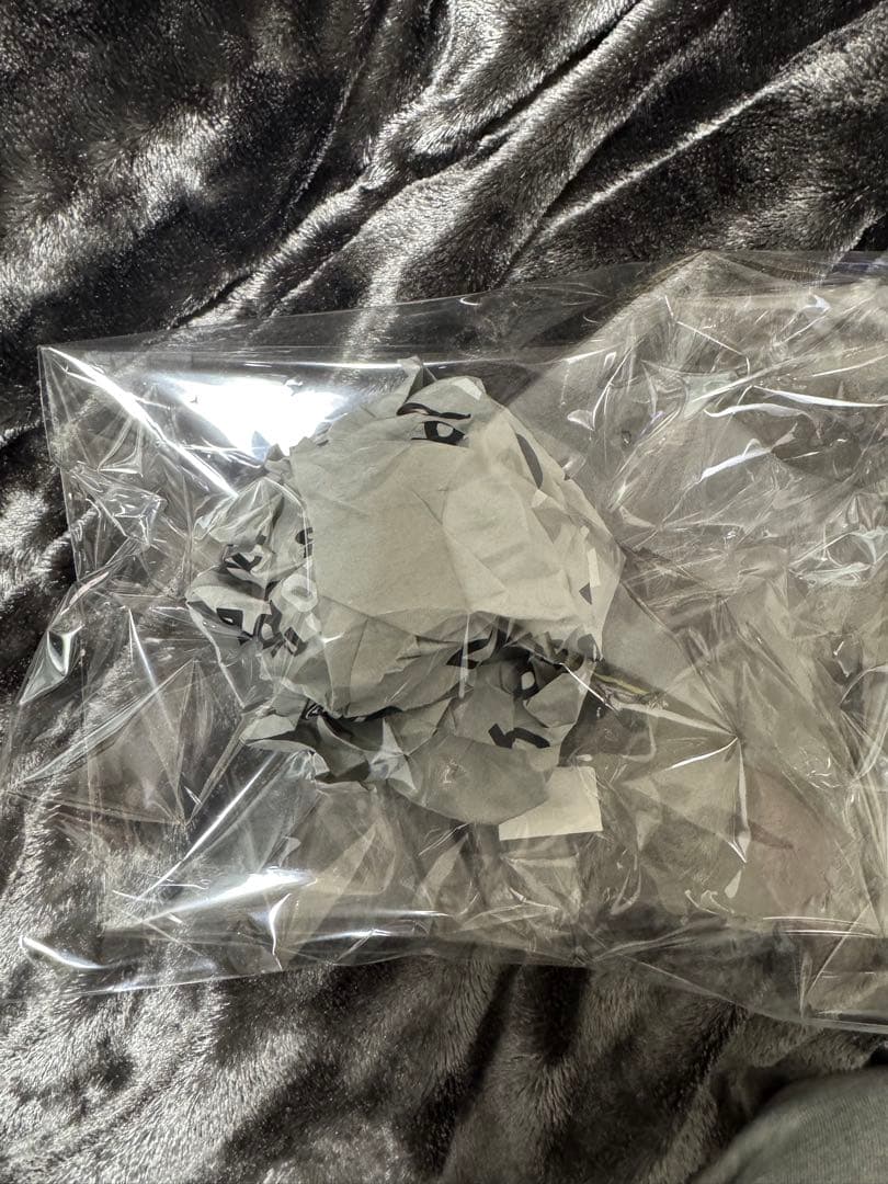 AKIO HASEGAWA AH 長谷川昭雄 カレンダー 2025 カウラム