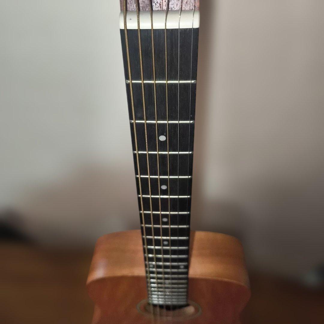 S.yairi アコースティックギター YM-02 箱&付属品有り