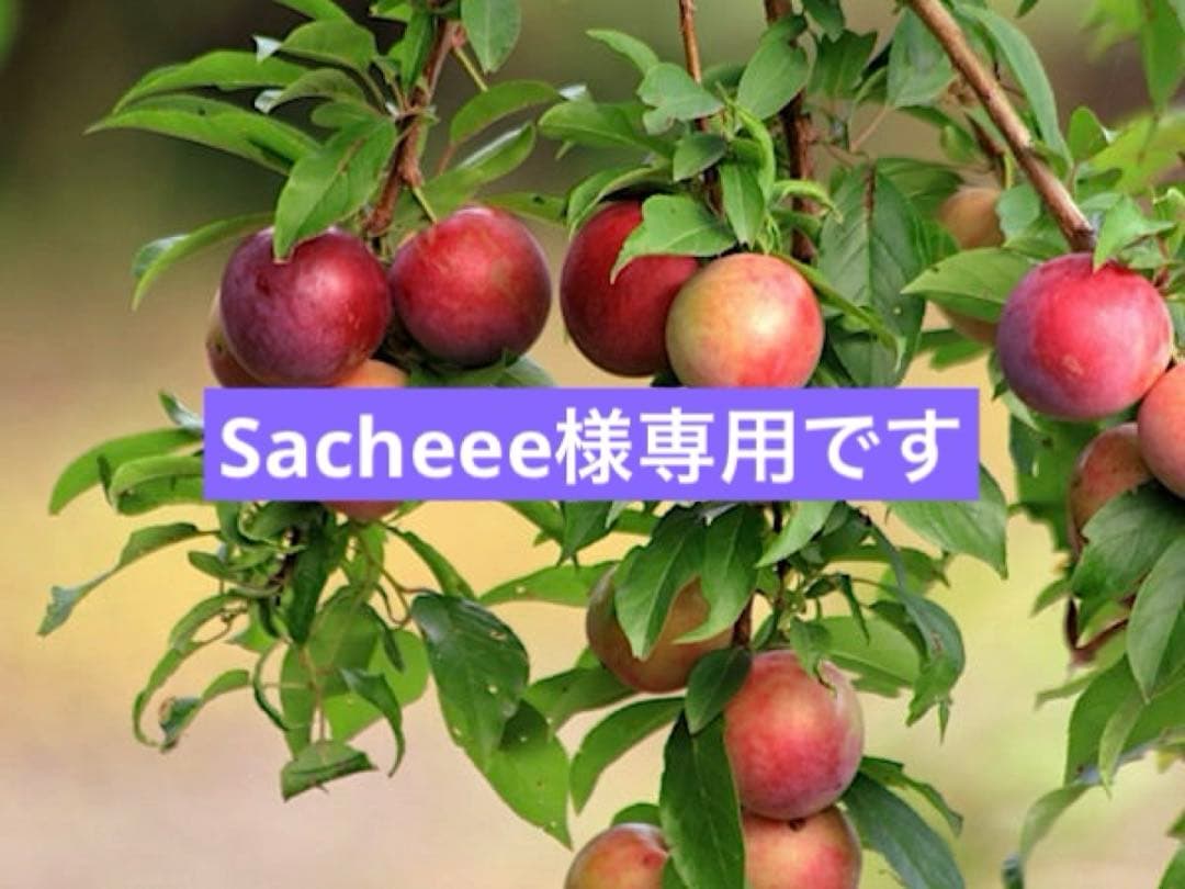 スマスロ「戦国乙女4 戦乱に閃く炯眼の軍師」カンスケパネル　パチスロ実機