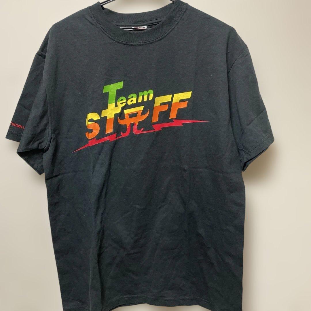 浜崎あゆみ Team Staff Tシャツ Mサイズ 2002-2003 CD