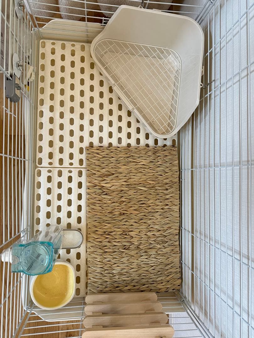 SANKO 小動物用ケージ ホワイト