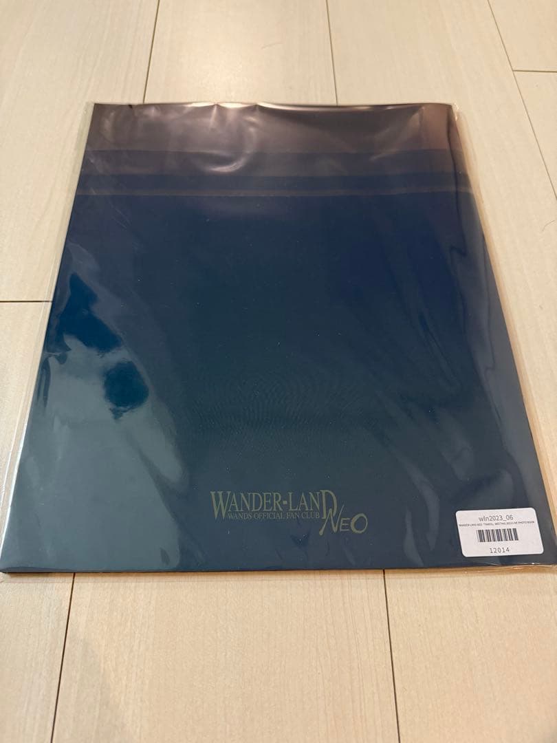 【新品未開封】WANDS PHOTO BOOK 上原大史　柴崎浩　FC限定