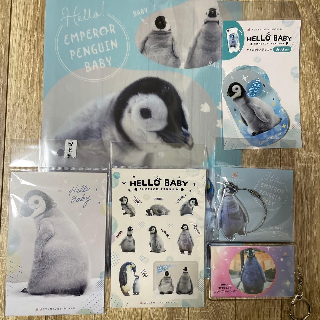 限定　アドベンチャーワールド エンペラーペンギン ベビー　キーホルダー　シール