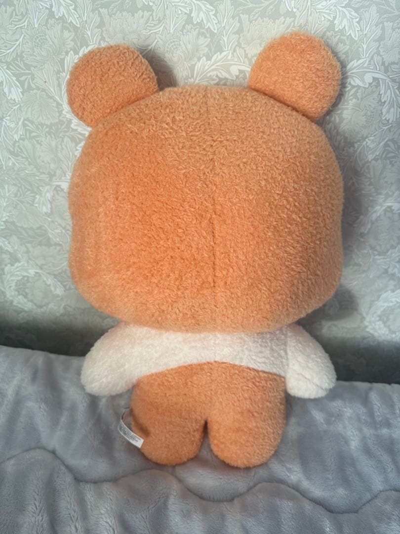 ZB1 zeroni フラット binini ゼロ二 ビニニ