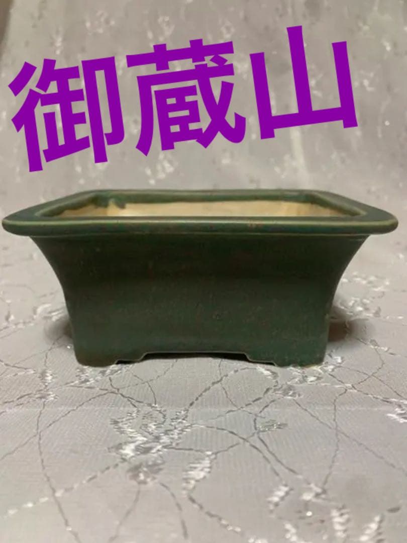 盆栽鉢　御蔵山