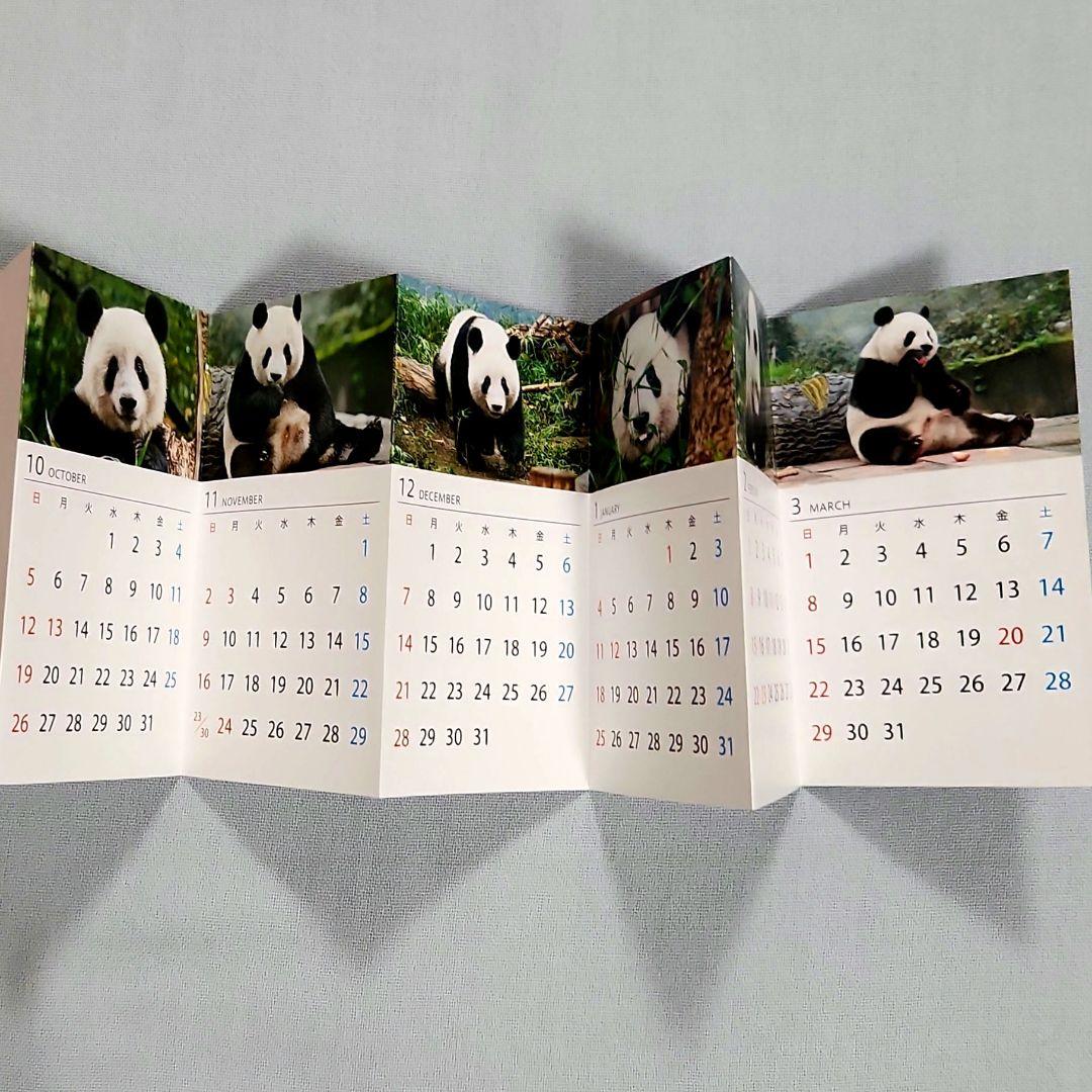 シャンシャン　ミニカレンダー　クリアファイル　大パンダ展　非売品