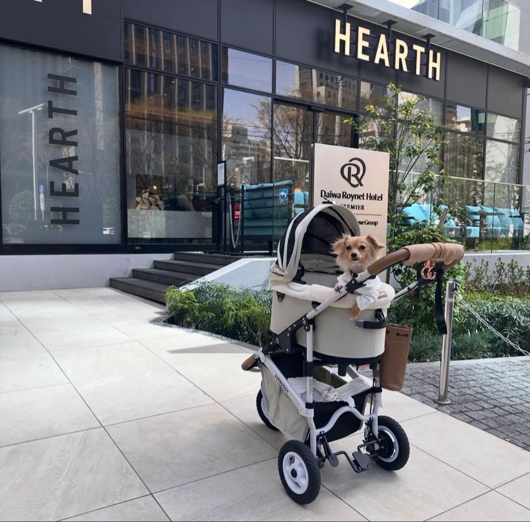 AIRBUGGY 12点セット！