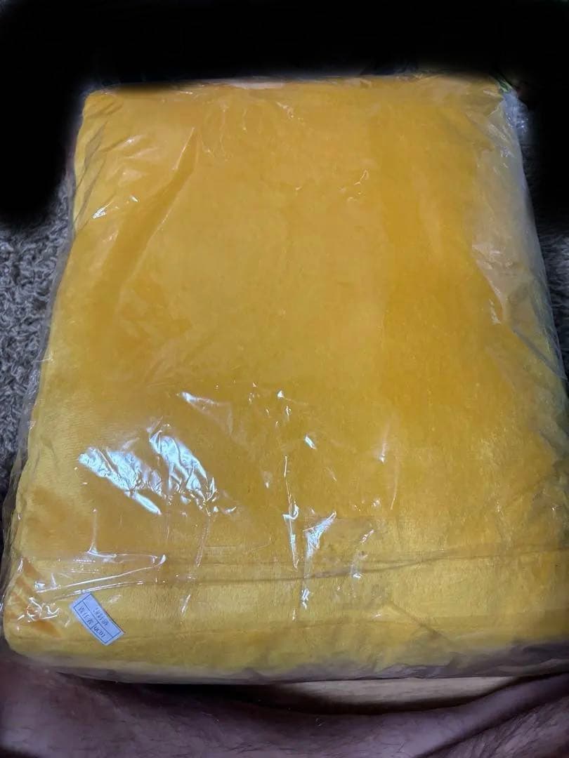 当選品！レア！　ジョジョの奇妙な冒険 承太郎の帽子エンブレムクッション