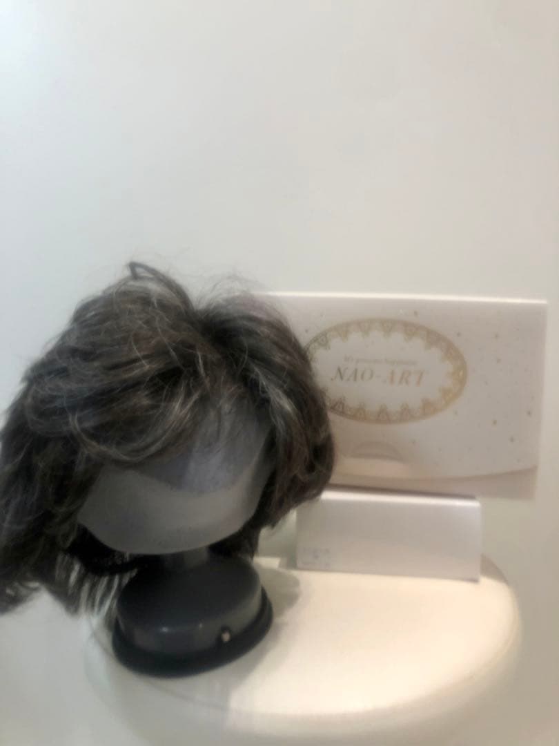 NAO-ART グレー ショートウィッグ