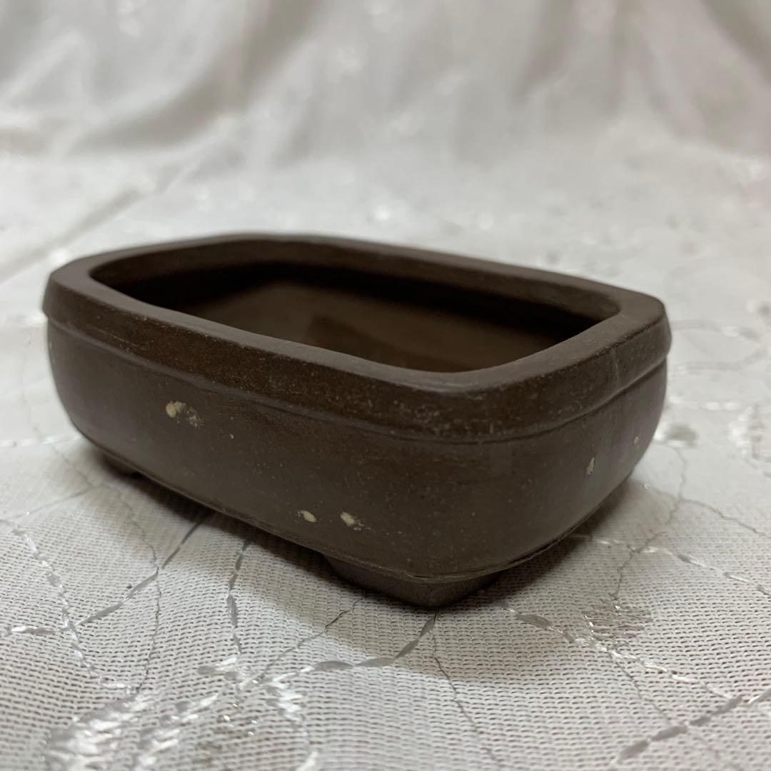 松栄喜美子　盆栽鉢　長方