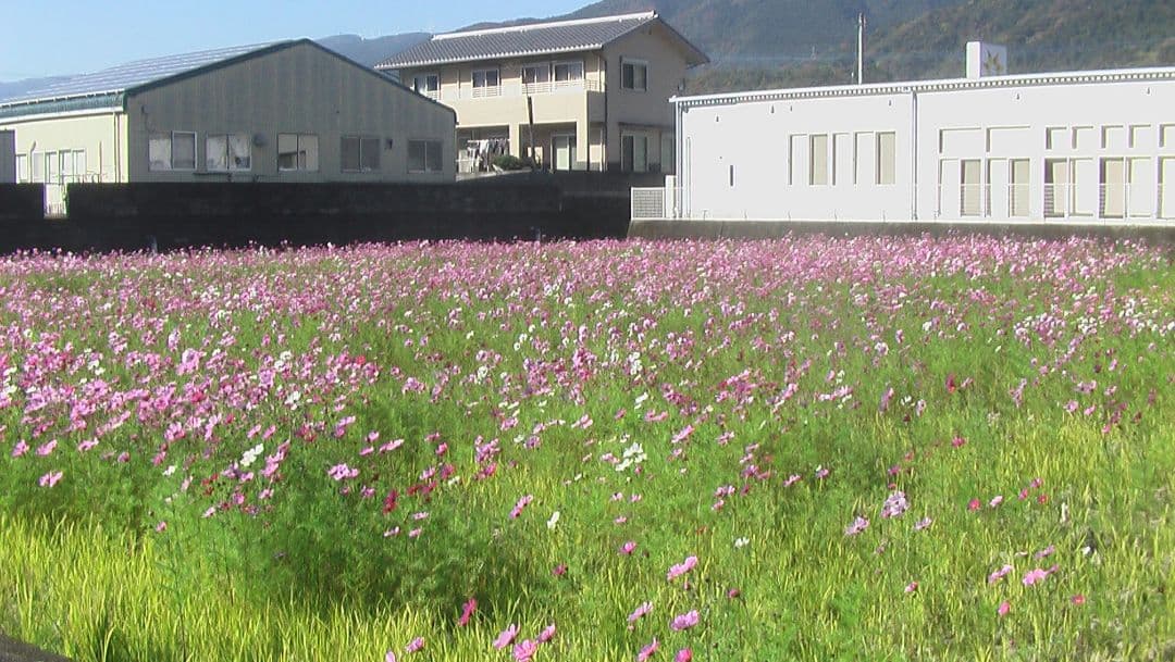 ビデオカメラ Panasonic SDR-S200 y2k handcam