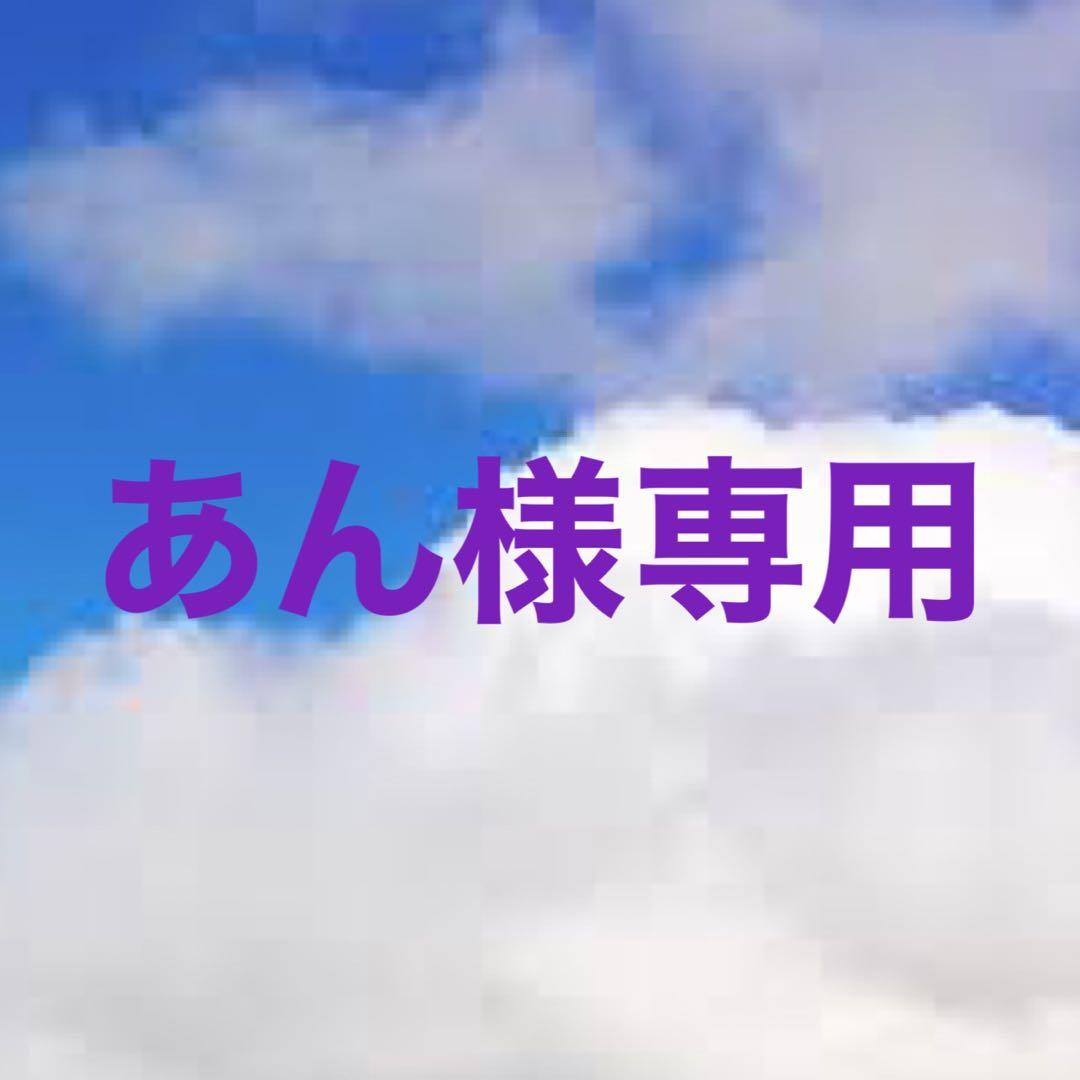 ①セボンスター　90年代　トップのみ　青
