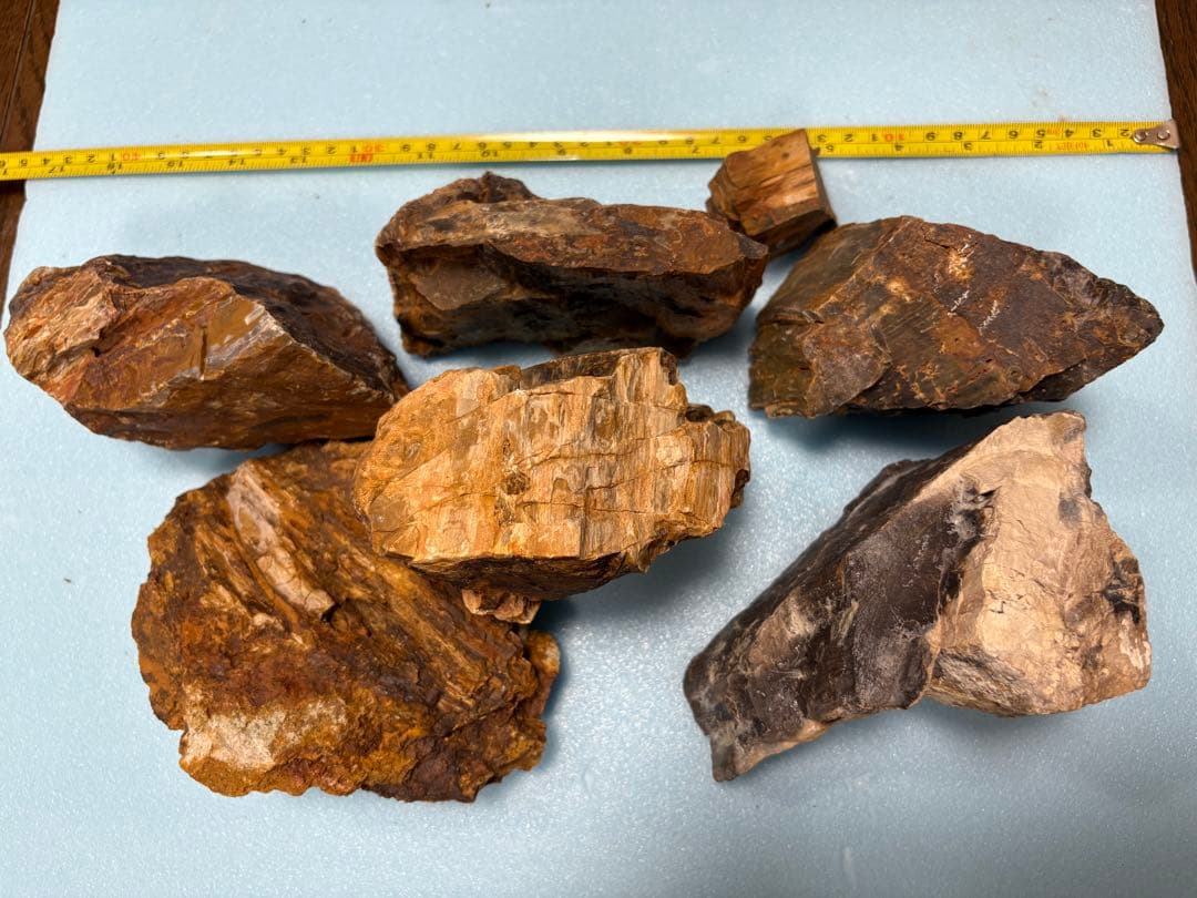 木化石　7個4.3kg（天然石 茶系色 不規則な形状）