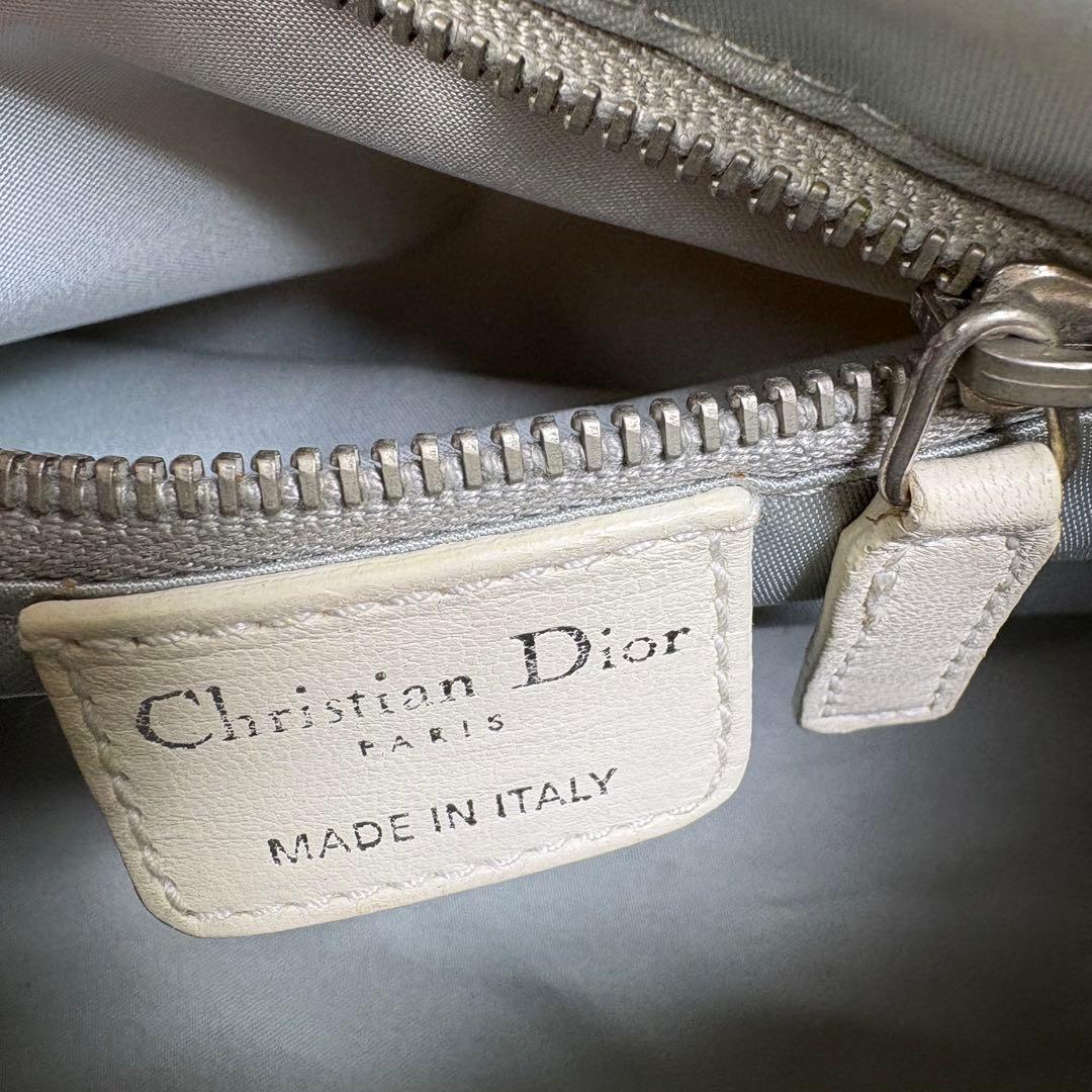 クリスチャンディオール　トロッター　ロマンティック　レアカラーチェーンショルダー