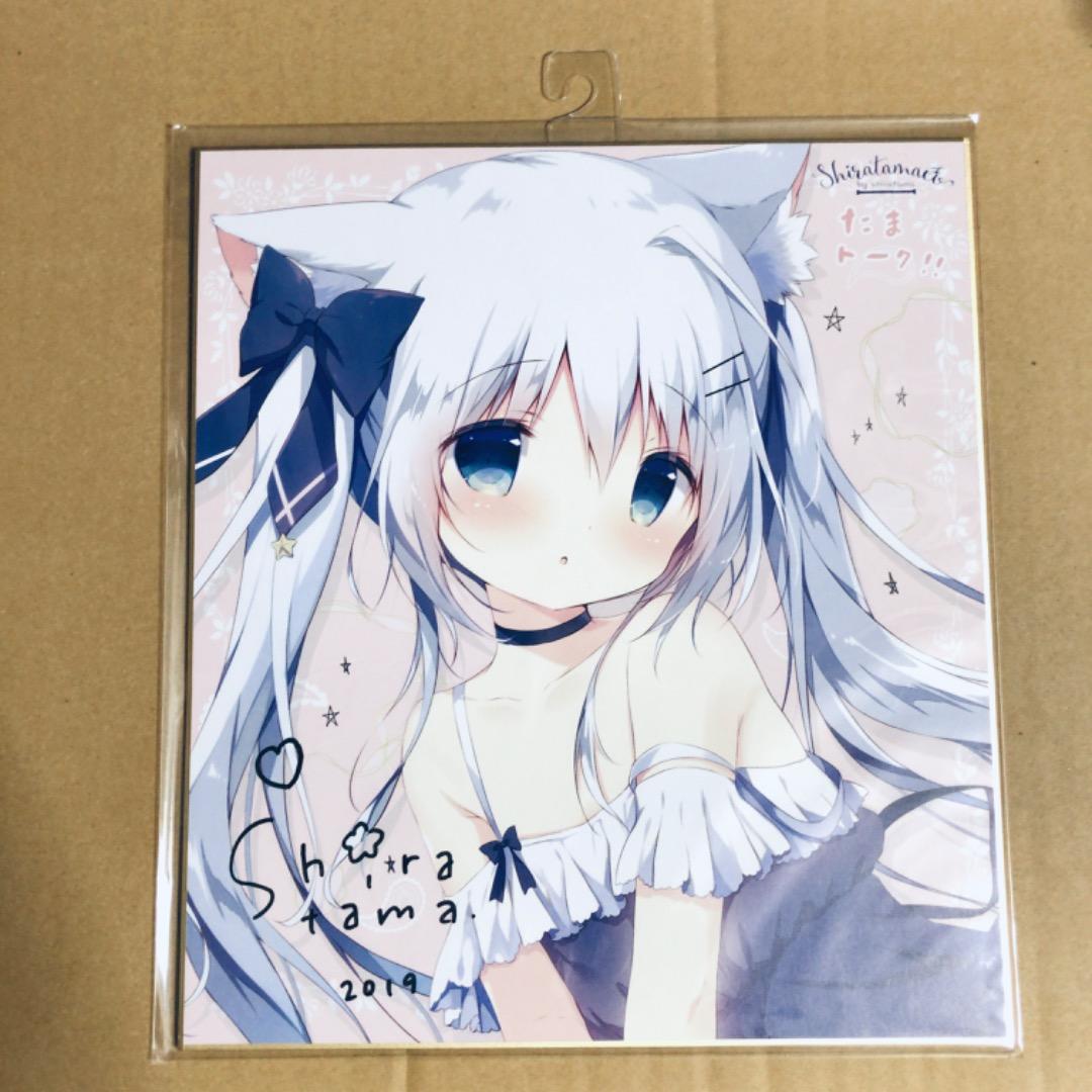 サイン入り 複製色紙 しらたま たまトーク2019 しらたまこ つららちゃん