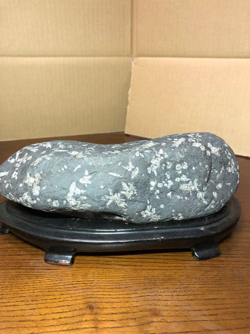 サクラ石　鑑賞石　水石