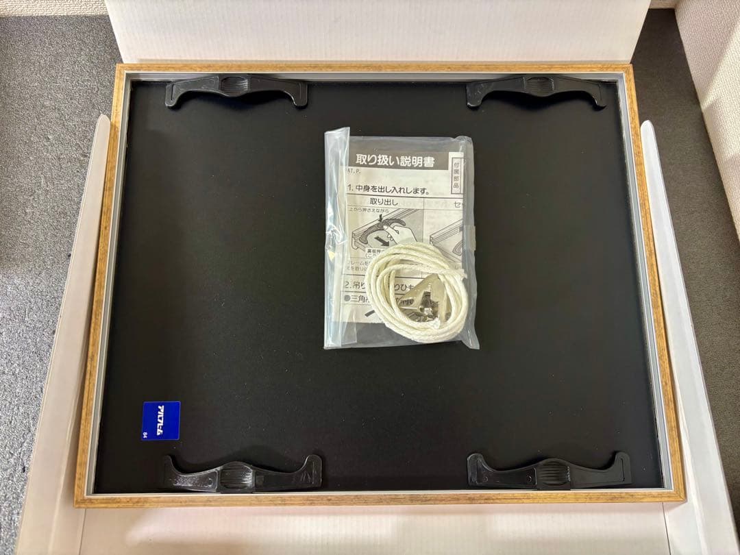 キミにきめた！湯山監督 サイン入り ファイングラフ　劇場版 ポケットモンスター