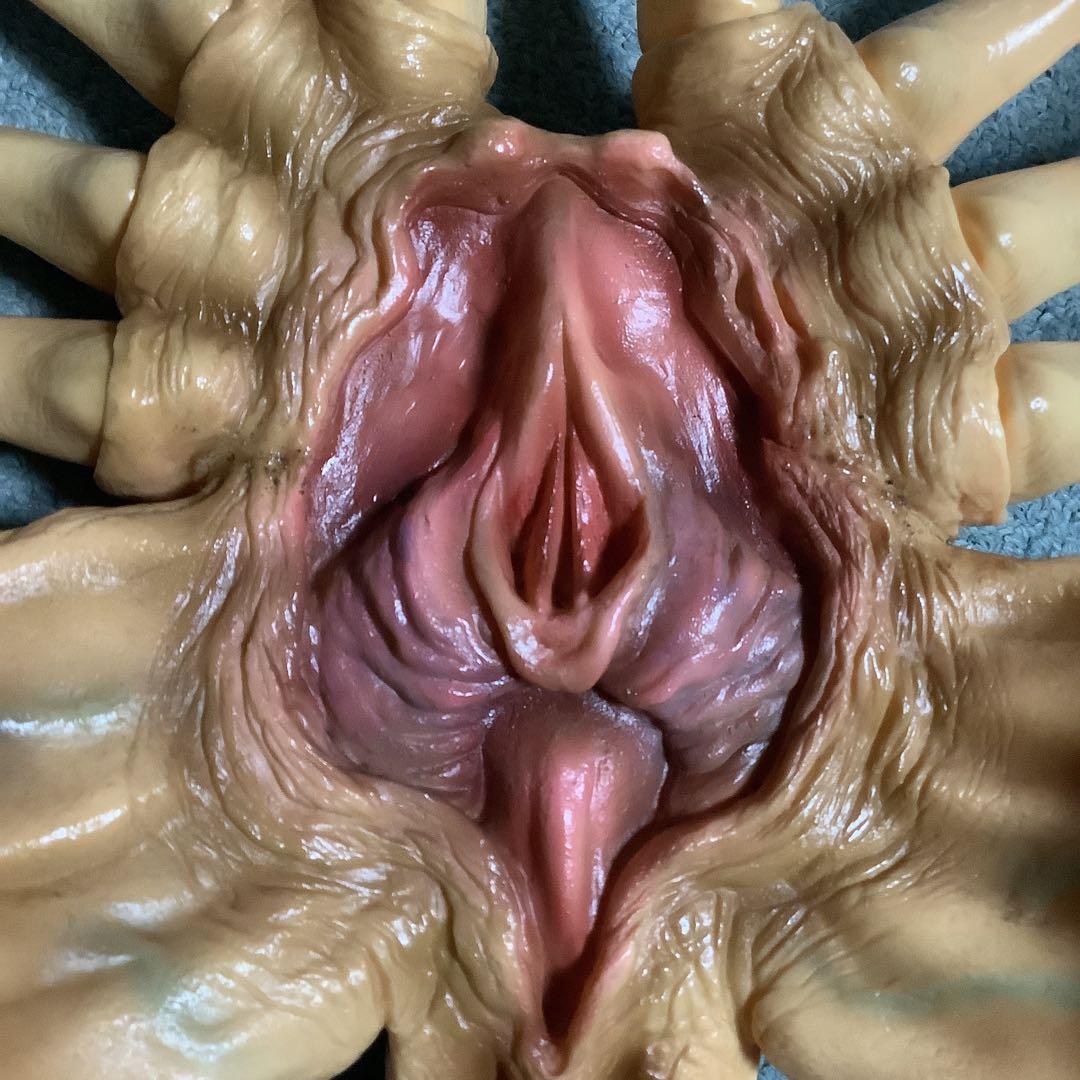 エイリアン★ソフビ★ガレージキット★フェイスハガー★1/1実物大★完成品★ツクダ