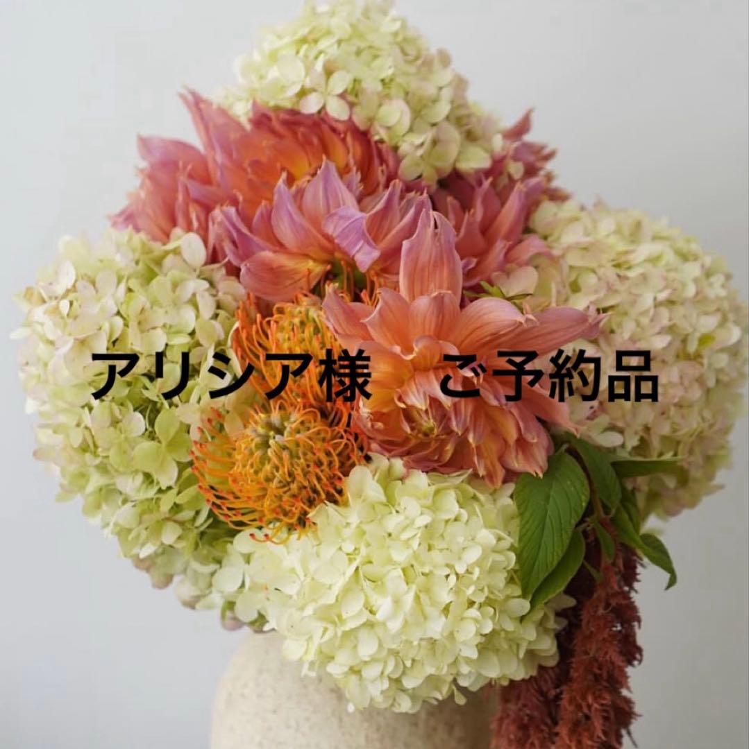 アリシア様　ご予約品