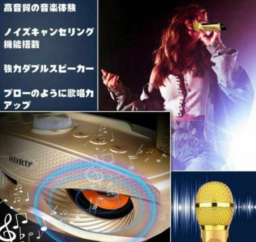 カラオケ マイク 2本 セット ワイヤレス Bluetooth スマホ セット