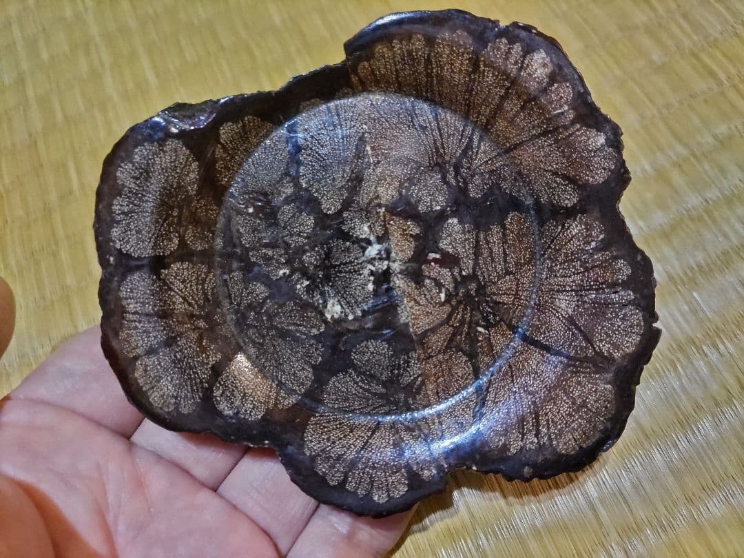 ホソマ様　茶托 菊花木５枚　他２点のお纏め価格