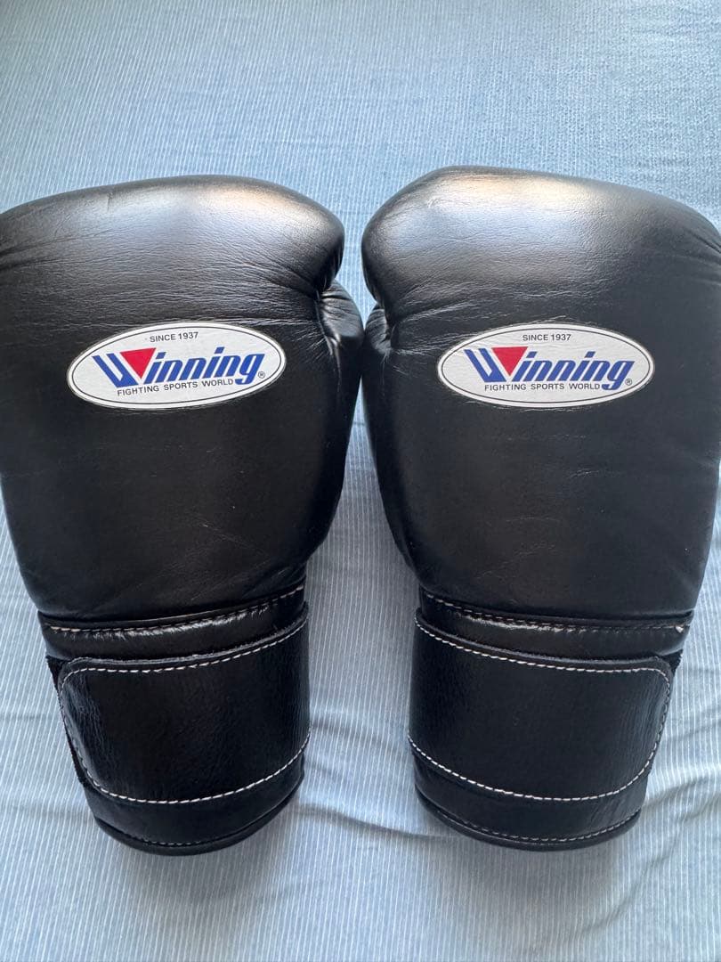 Winning ボクシンググローブ 14 oz