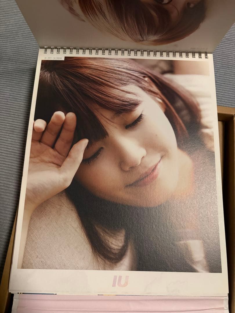 IUカレンダー セット2013 ⭐︎シーズングリーティングIU⭐︎아이유